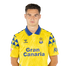 Foto de Jugador