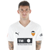 Dani Raba