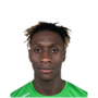 Foto de Y. Diaby