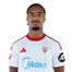 Foto de Jugador
