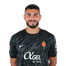 Foto de Jugador