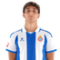 Foto de Jugador
