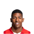 Foto de P. van Aanholt