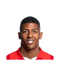 Foto de P. van Aanholt