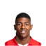Foto de P. van Aanholt