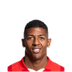 Foto de P. van Aanholt