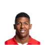 Foto de P. van Aanholt