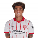 Witsel