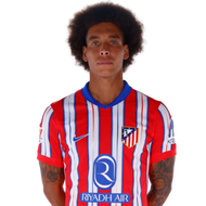 Witsel