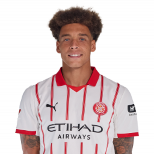 A. Witsel