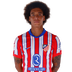 A. Witsel