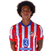 jugador