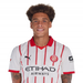 Witsel