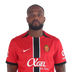C. Larin