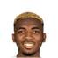 Foto de M. Ubochioma