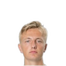 Foto de V. Skjærvik