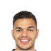 Foto de H. Ben Arfa