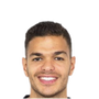 Foto de H. Ben Arfa