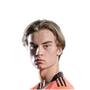 Foto de E. Henriksson