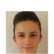 Foto de M. Klein