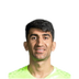 Foto de A. Beiranvand