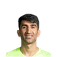 Foto de A. Beiranvand