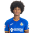 Foto de Jugador
