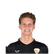 Foto de V. Borsos