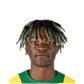 Foto de B. Cipenga