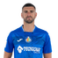 Foto de Mitrovic