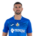 Mitrovic