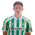 jugador