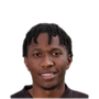 Foto de K. Ngwenya