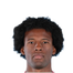 Foto de G. Wijnaldum
