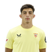 Alberto Flores