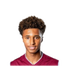 Foto de T. Patterson