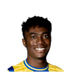 Foto de R. Adeola