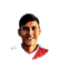Foto de P. Vaca