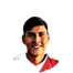 Foto de P. Vaca