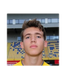 Foto de R. Wilmots