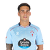 Sotelo