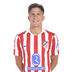 Foto de G. Simeone