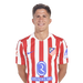 Giuliano