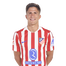 Foto de G. Simeone
