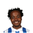 Foto de P. Tau