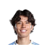 Foto de Jugador