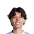 Foto de A. Tanaka