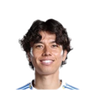 Foto de A. Tanaka