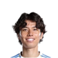 Foto de A. Tanaka