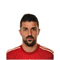 Foto de David Villa